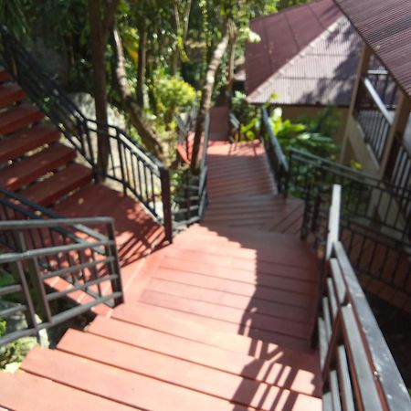 Pawpaw Resort Lamai Beach  Екстер'єр фото